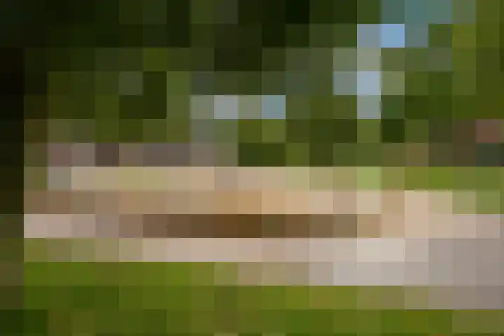 Meurshof 7 Veenendaal thumbnail 37