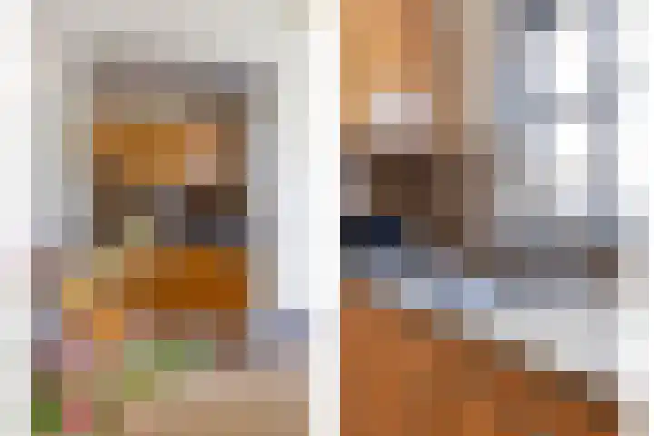 Meursstraat 5 Heesch thumbnail 13