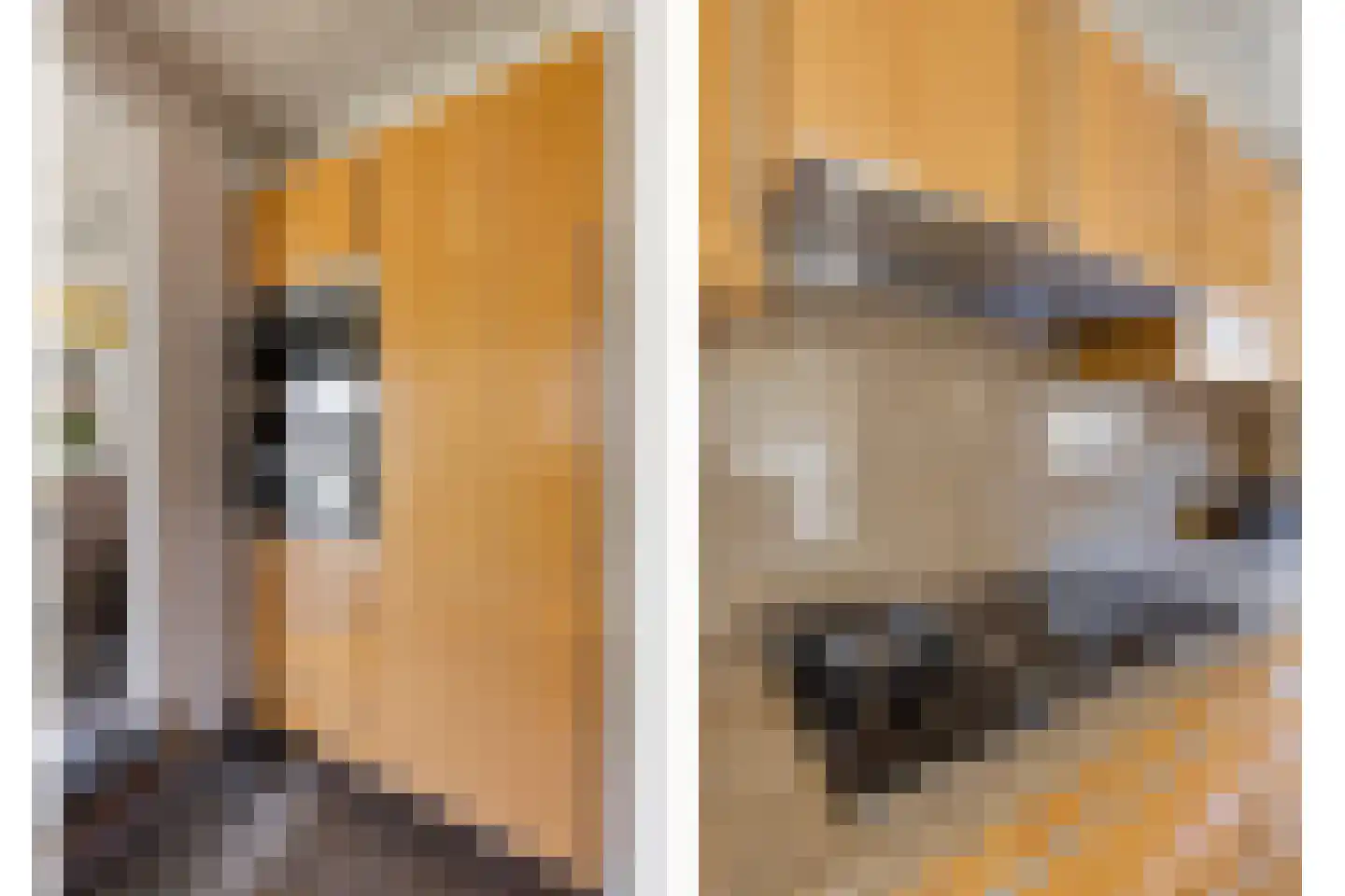Meursstraat 5 Heesch thumbnail 13