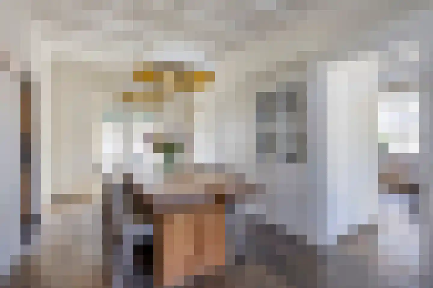 Meursstraat 5 Heesch thumbnail 15