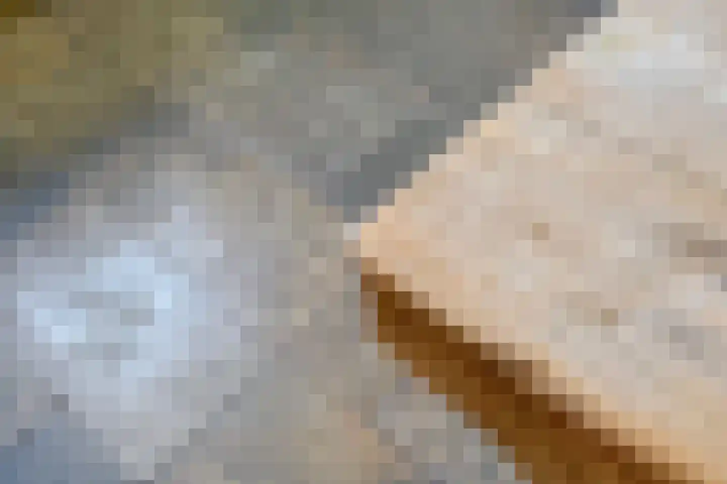 Meursstraat 5 Heesch thumbnail 17