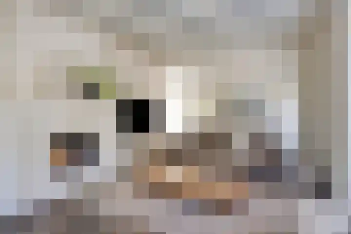 Meursstraat 5 Heesch thumbnail 21