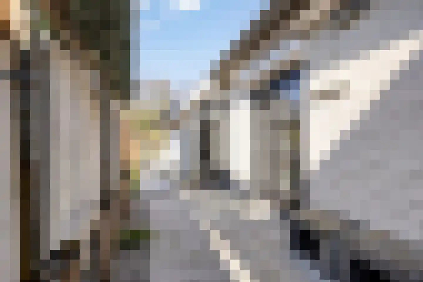 Meursstraat 5 Heesch thumbnail 21