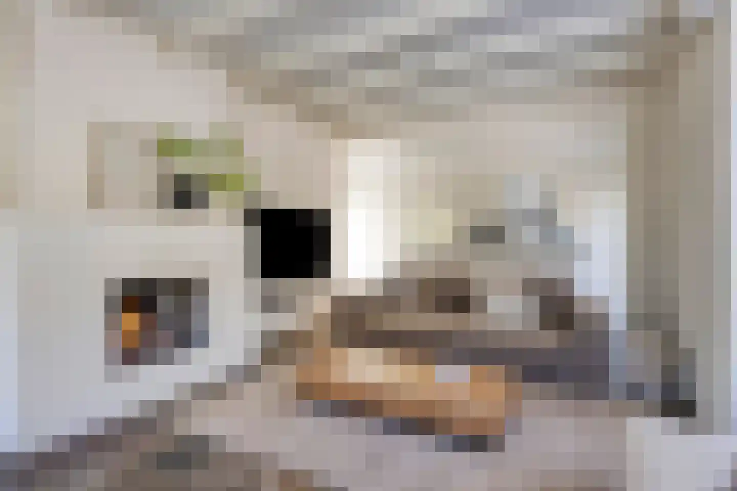 Meursstraat 5 Heesch thumbnail 22