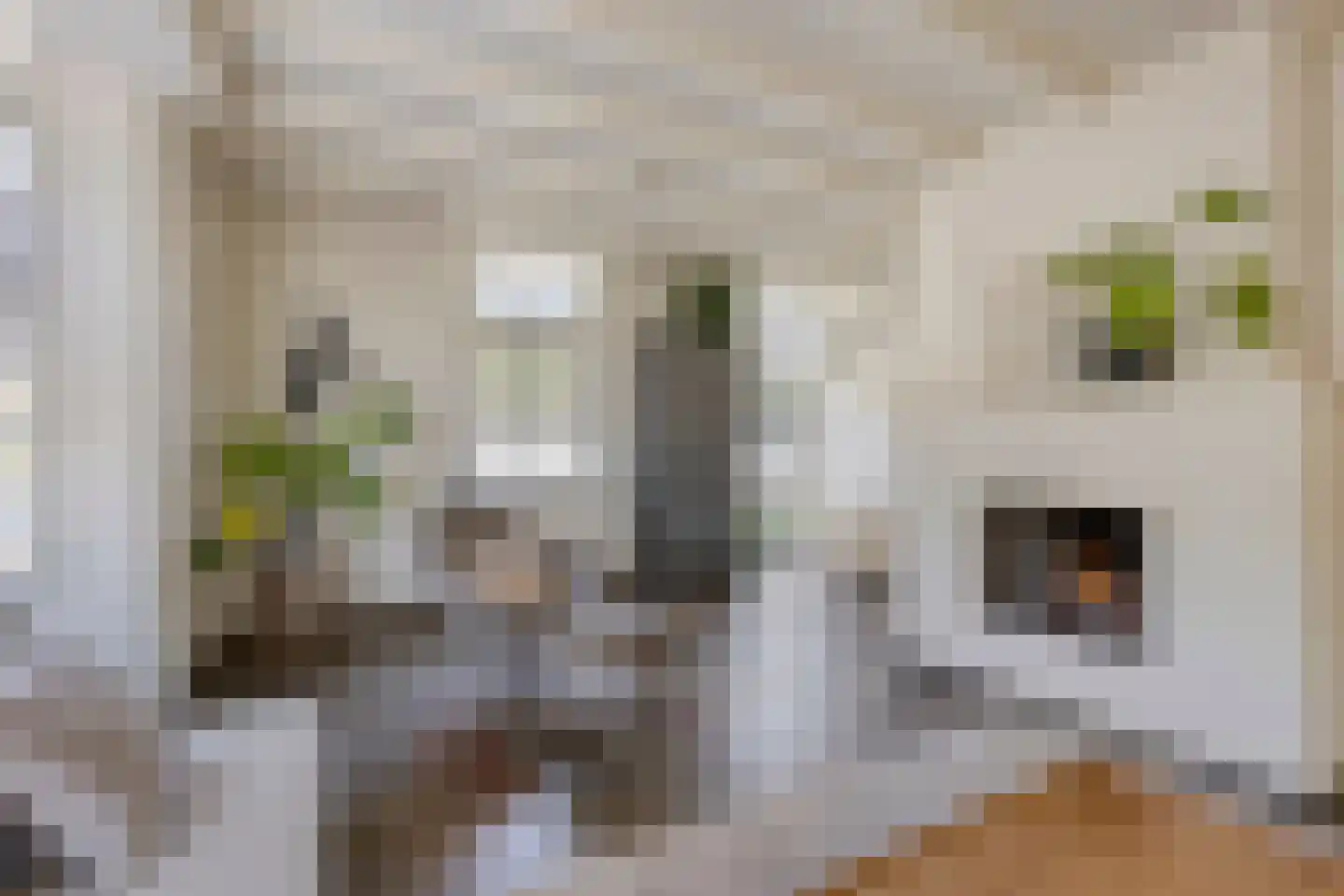 Meursstraat 5 Heesch thumbnail 24