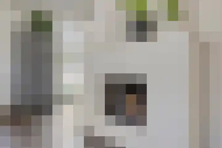 Meursstraat 5 Heesch thumbnail 24