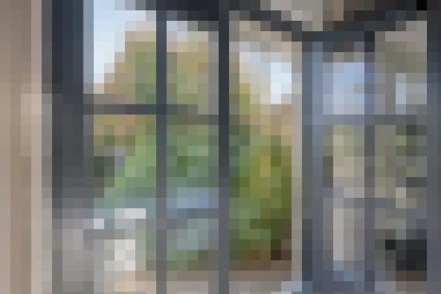 Meursstraat 5 Heesch thumbnail 29