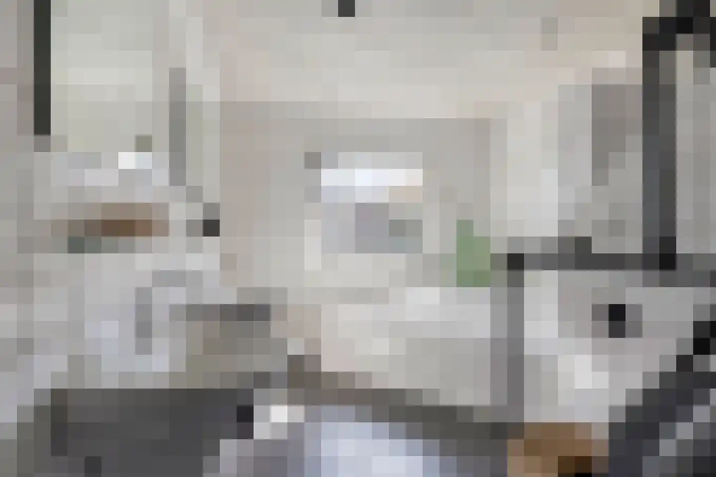 Meursstraat 5 Heesch thumbnail 30