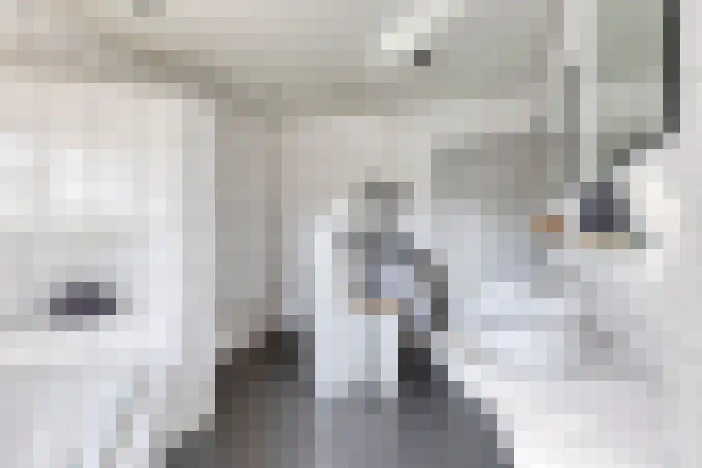 Meursstraat 5 Heesch thumbnail 31