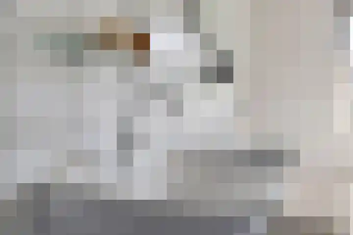 Meursstraat 5 Heesch thumbnail 32