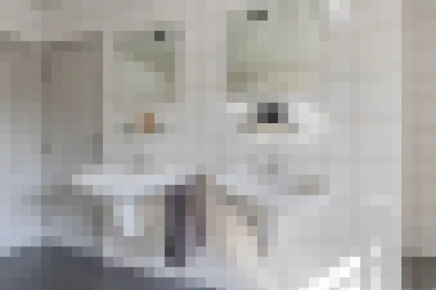 Meursstraat 5 Heesch thumbnail 32