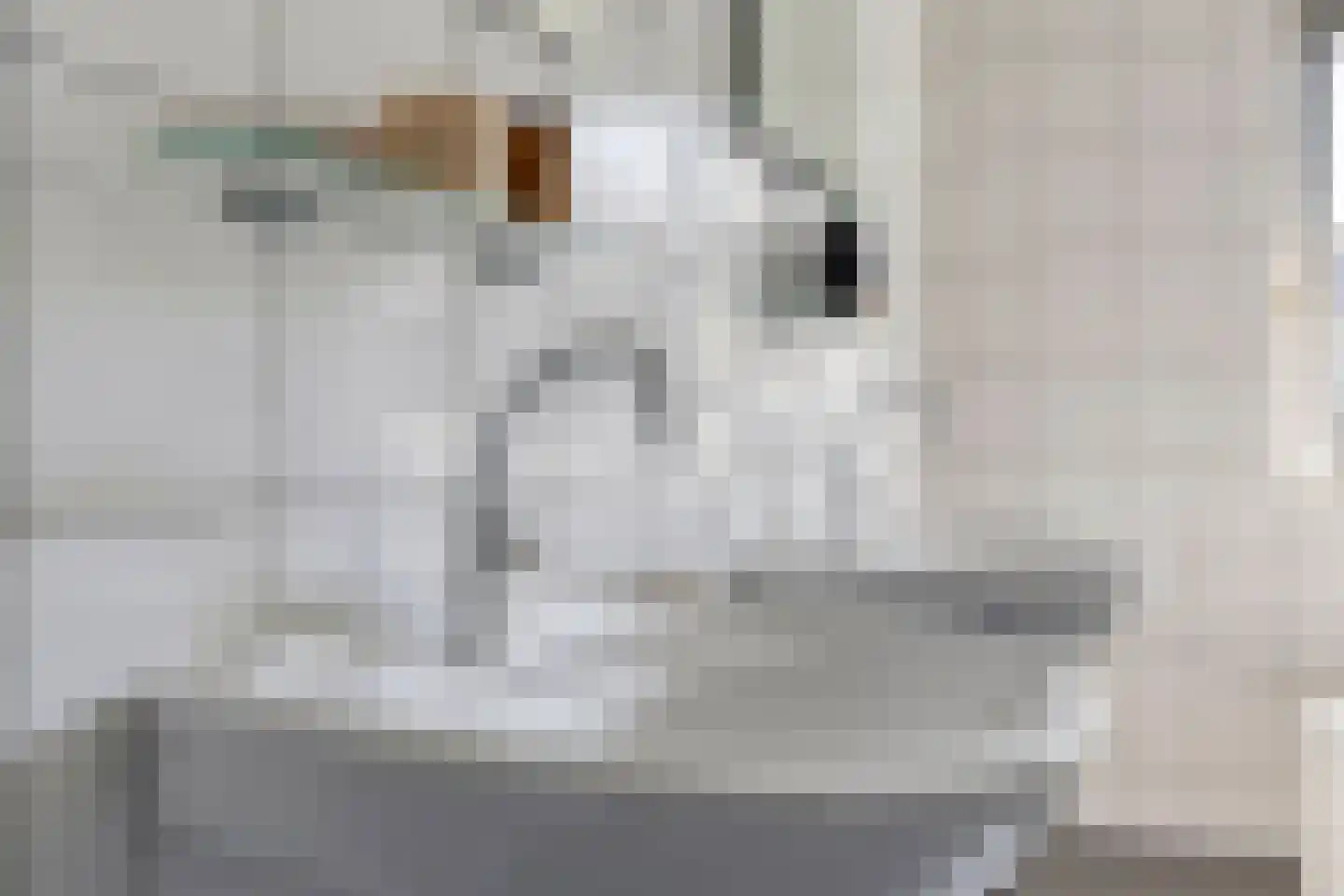 Meursstraat 5 Heesch thumbnail 33