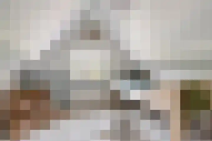 Meursstraat 5 Heesch thumbnail 39
