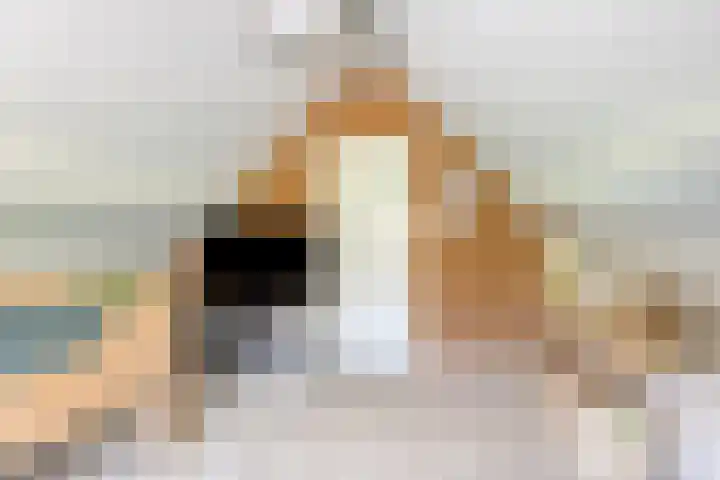 Meursstraat 5 Heesch thumbnail 40