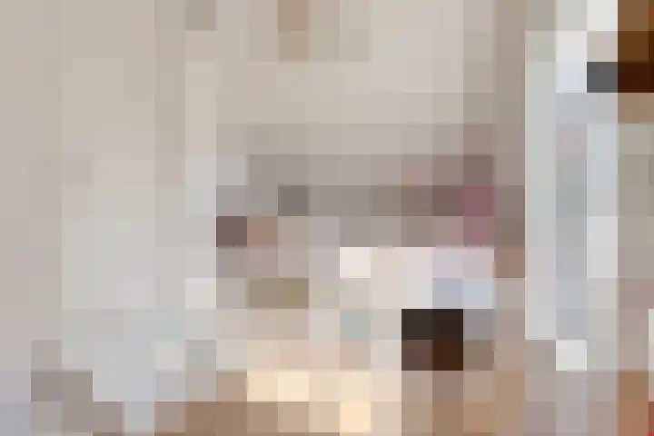 Meursstraat 5 Heesch thumbnail 41