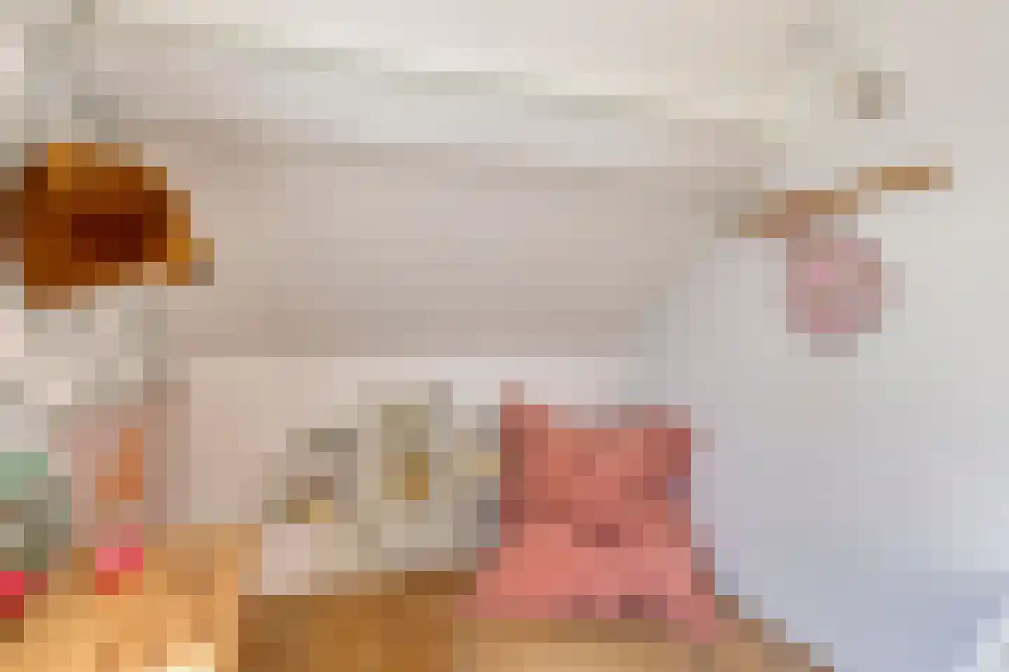 Meursstraat 5 Heesch thumbnail 43