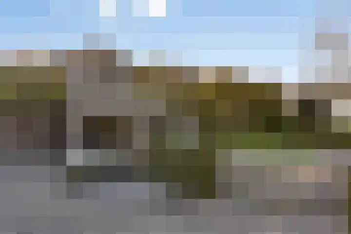 Meursstraat 5 Heesch thumbnail 48