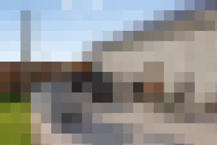 Meursstraat 5 Heesch thumbnail 51