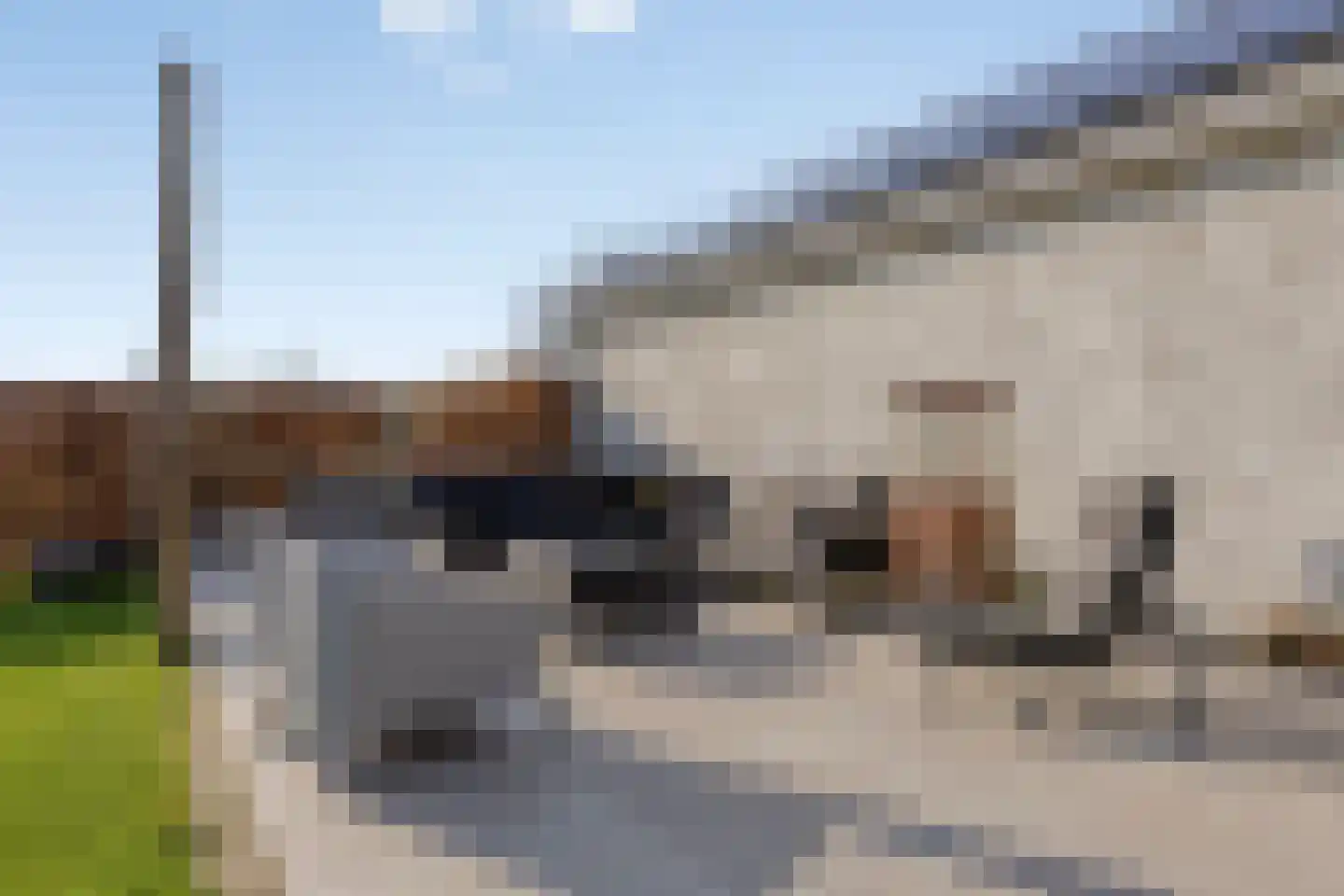 Meursstraat 5 Heesch thumbnail 52