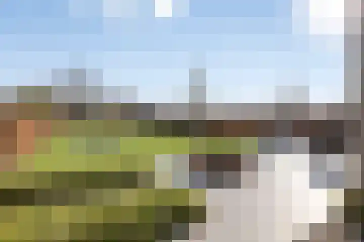 Meursstraat 5 Heesch thumbnail 52