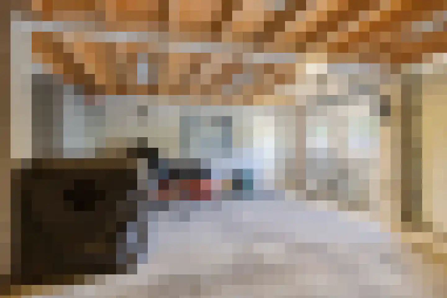 Meursstraat 5 Heesch thumbnail 56