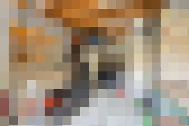 Meursstraat 5 Heesch thumbnail 57