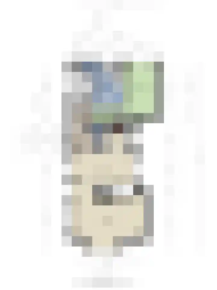 Meursstraat 5 Heesch thumbnail 68