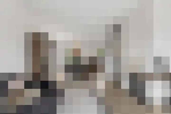 Meursweg 1 g Didam thumbnail 10