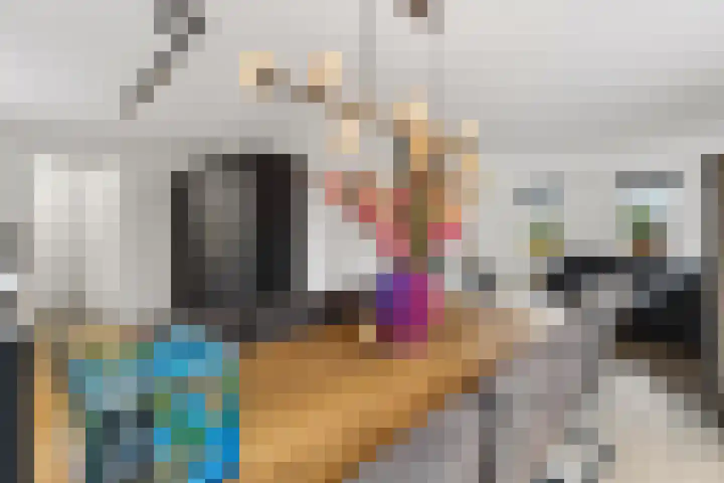 Meursweg 1 g Didam thumbnail 19