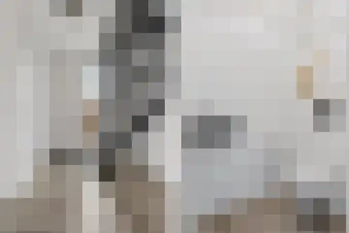 Meursweg 1 g Didam thumbnail 22