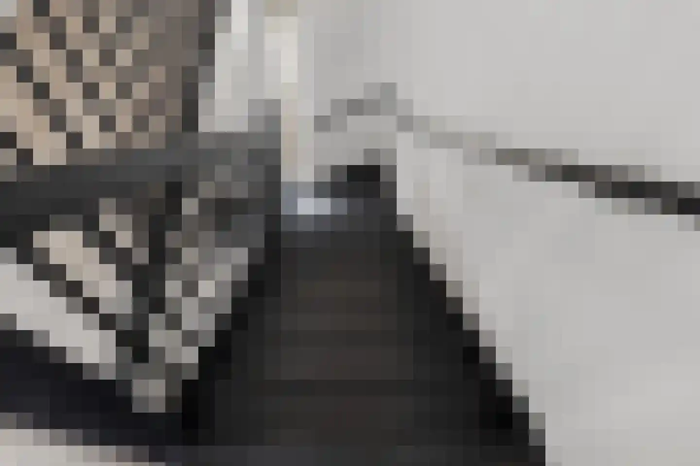 Meursweg 1 g Didam thumbnail 27