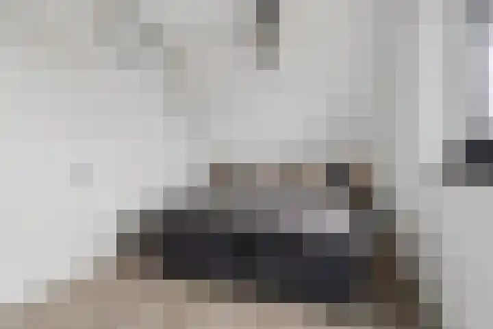Meursweg 1 g Didam thumbnail 29