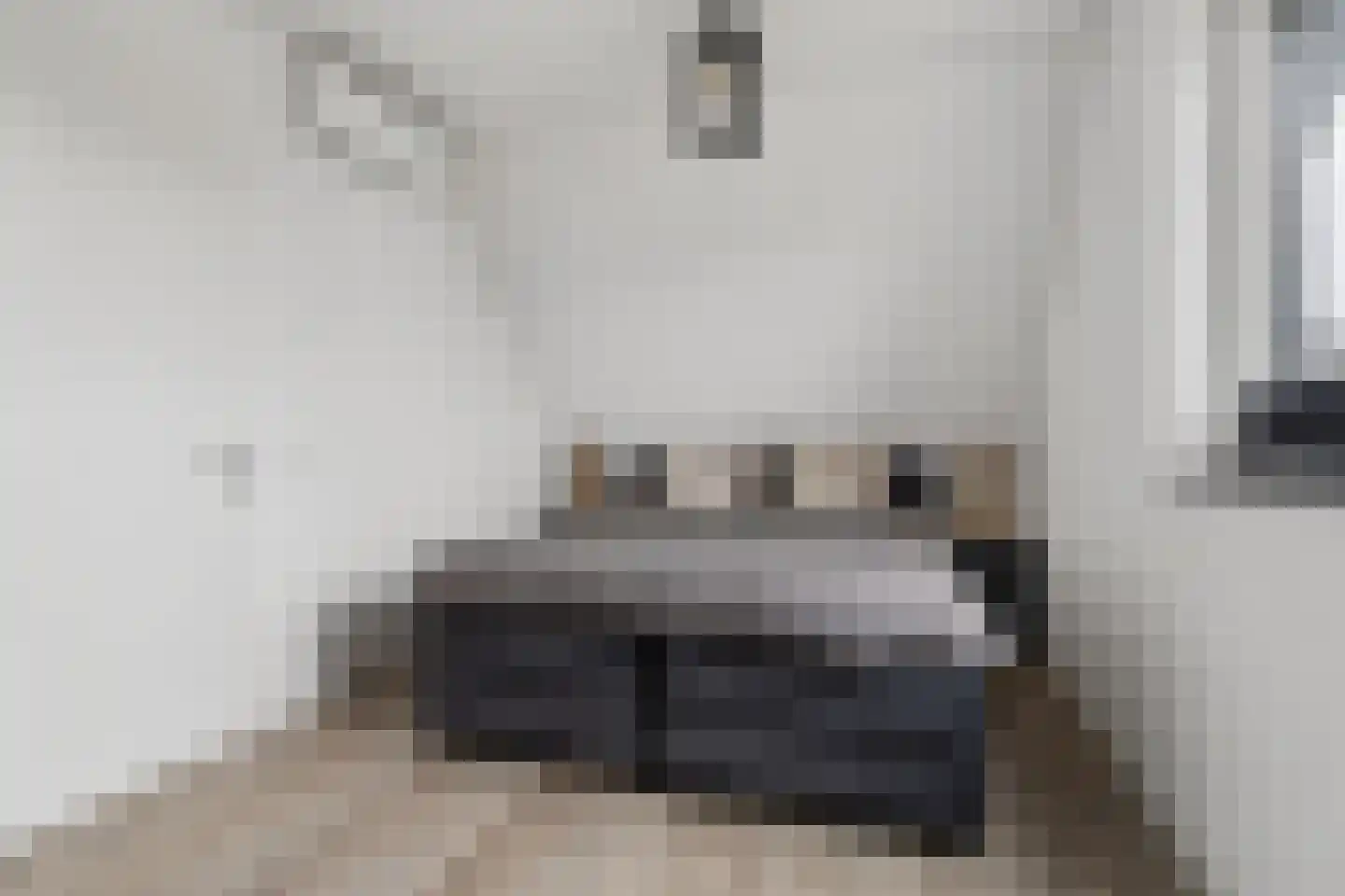 Meursweg 1 g Didam thumbnail 29