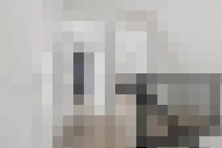 Meursweg 1 g Didam thumbnail 31