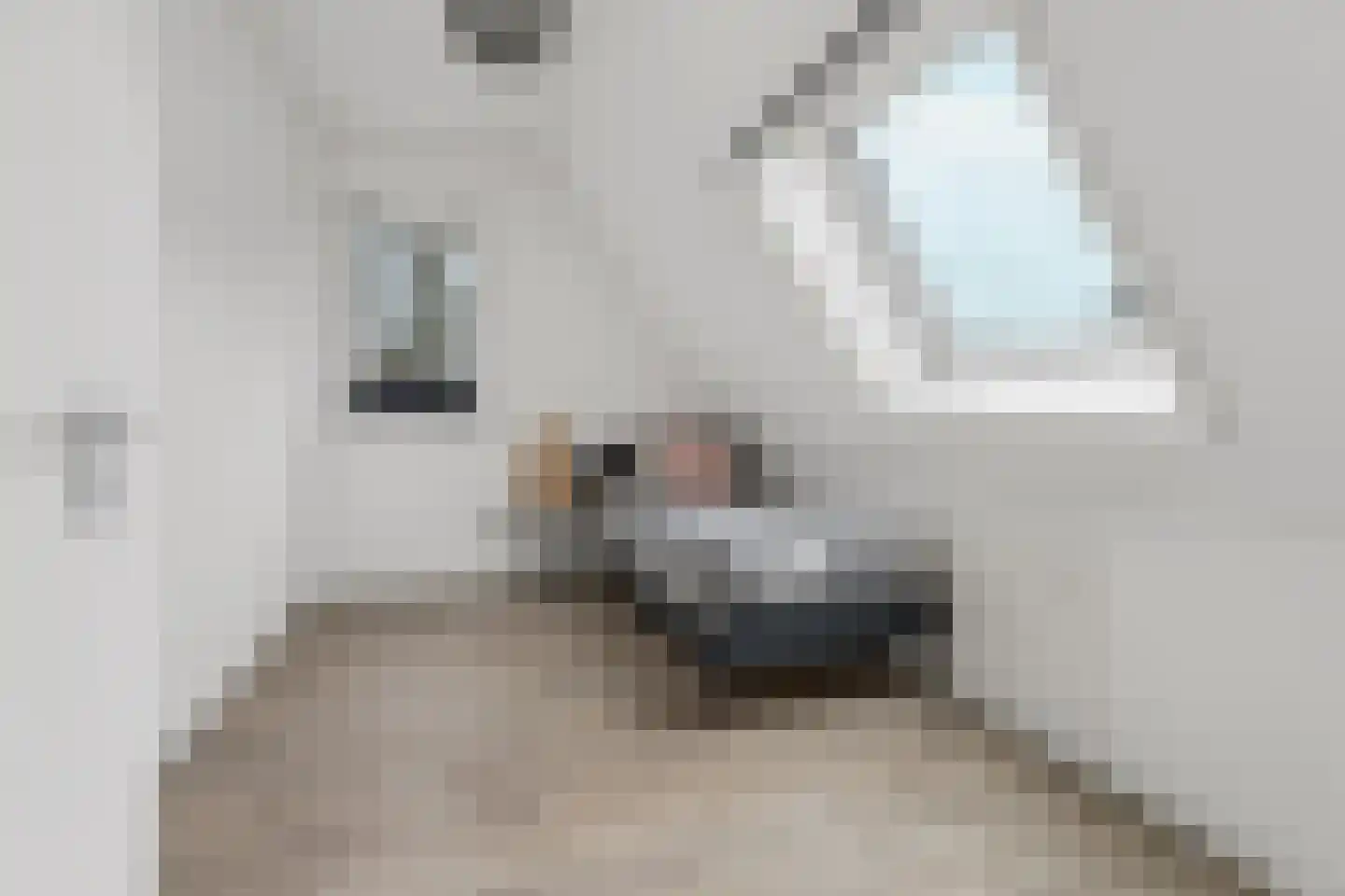 Meursweg 1 g Didam thumbnail 34