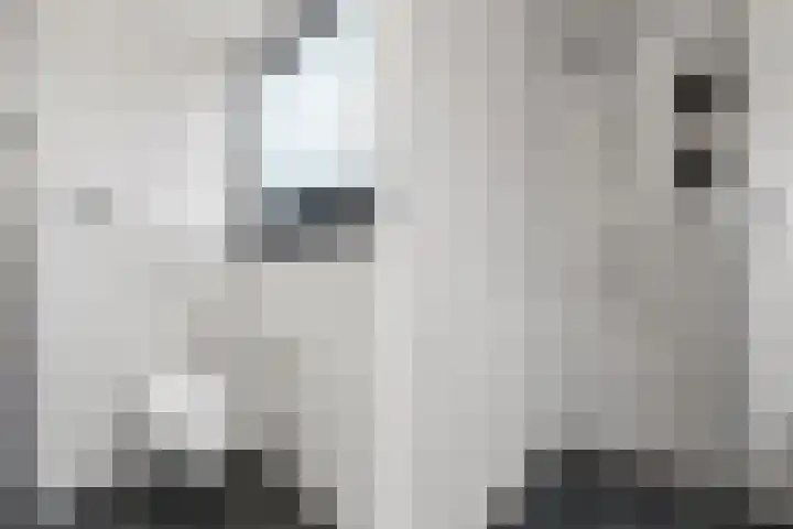 Meursweg 1 g Didam thumbnail 38