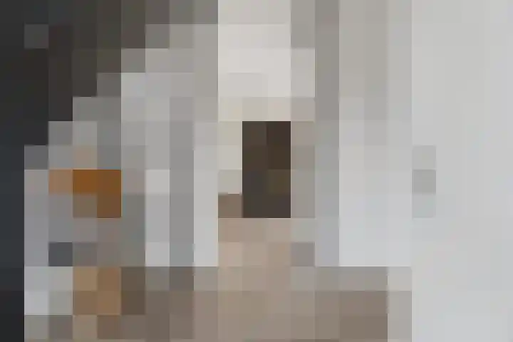 Meursweg 1 g Didam thumbnail 4