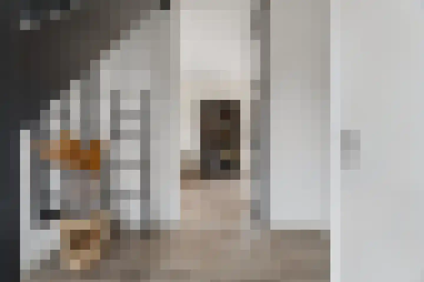 Meursweg 1 g Didam thumbnail 4