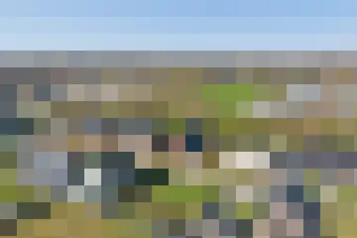 Meursweg 1 g Didam thumbnail 58