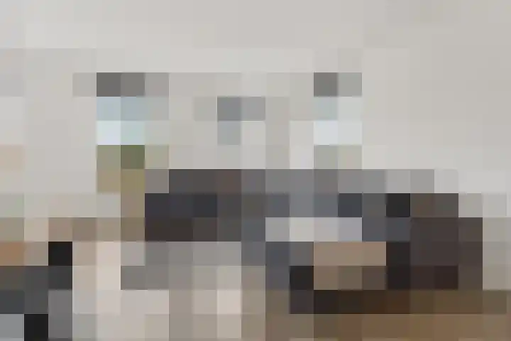 Meursweg 1 g Didam thumbnail 6