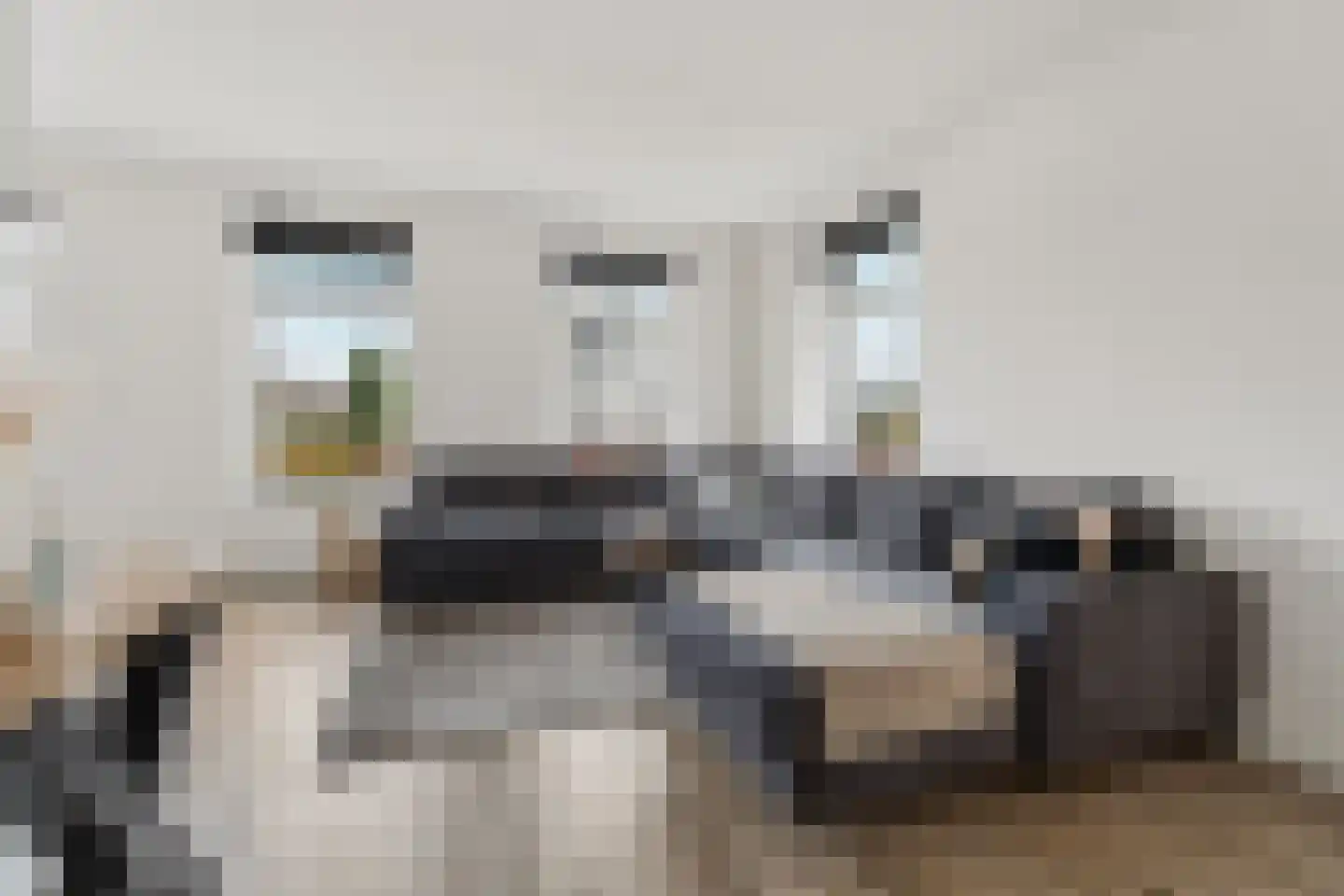 Meursweg 1 g Didam thumbnail 6