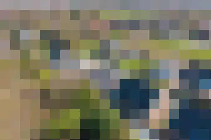 Meursweg 1 g Didam thumbnail 60