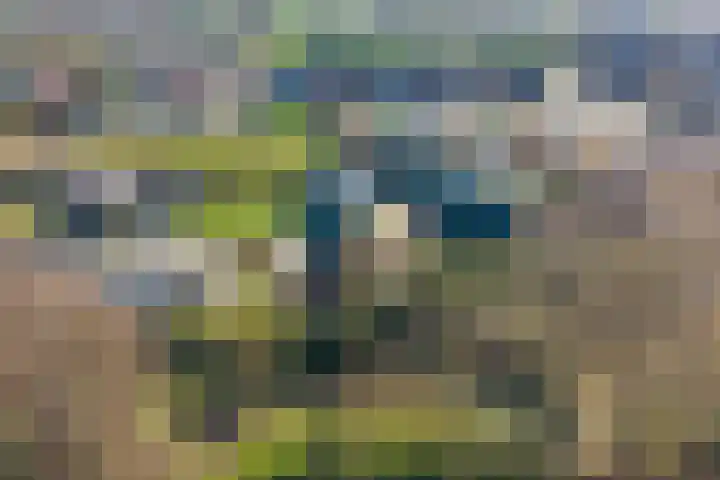 Meursweg 1 g Didam thumbnail 61
