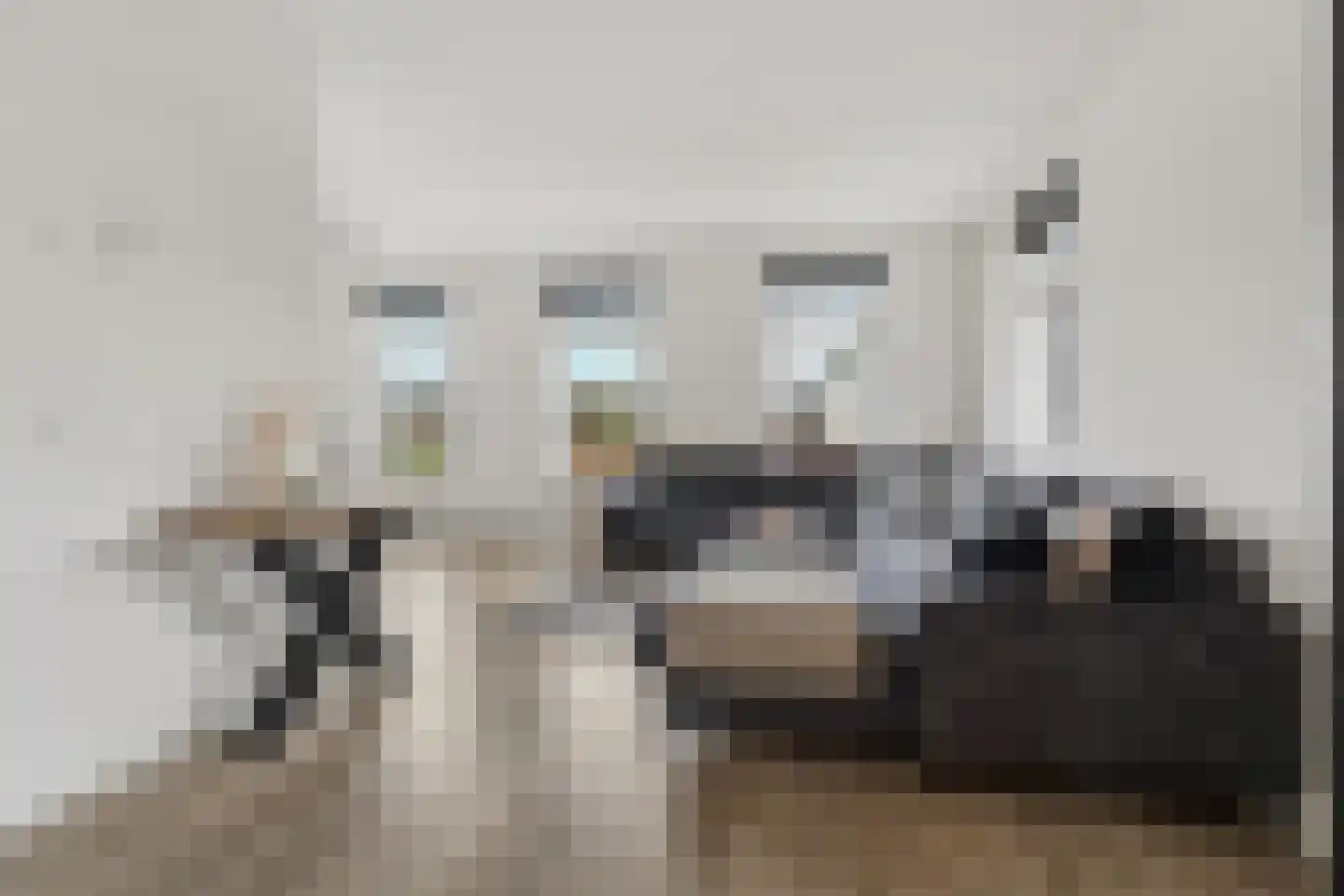 Meursweg 1 g Didam thumbnail 7