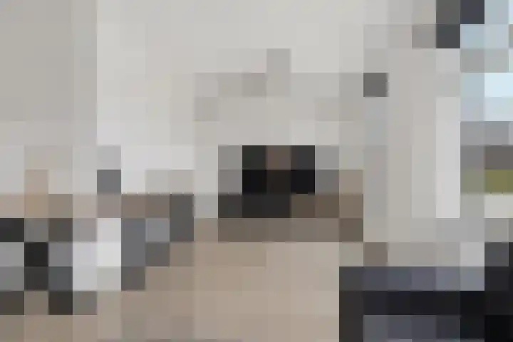 Meursweg 1 g Didam thumbnail 8