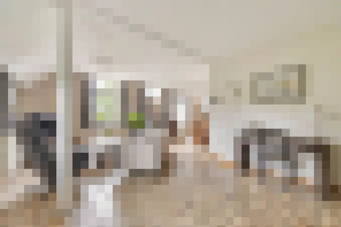 Meursweg 23 Didam thumbnail 10