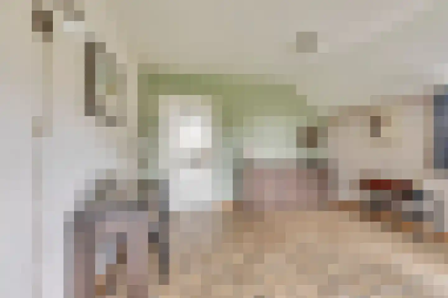 Meursweg 23 Didam thumbnail 11