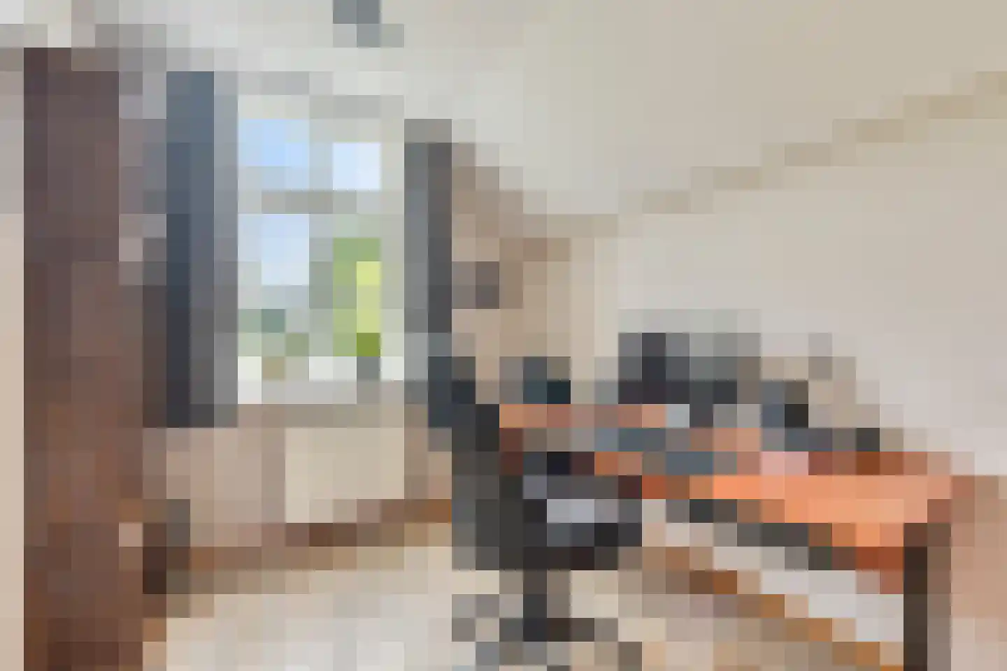 Meursweg 23 Didam thumbnail 12