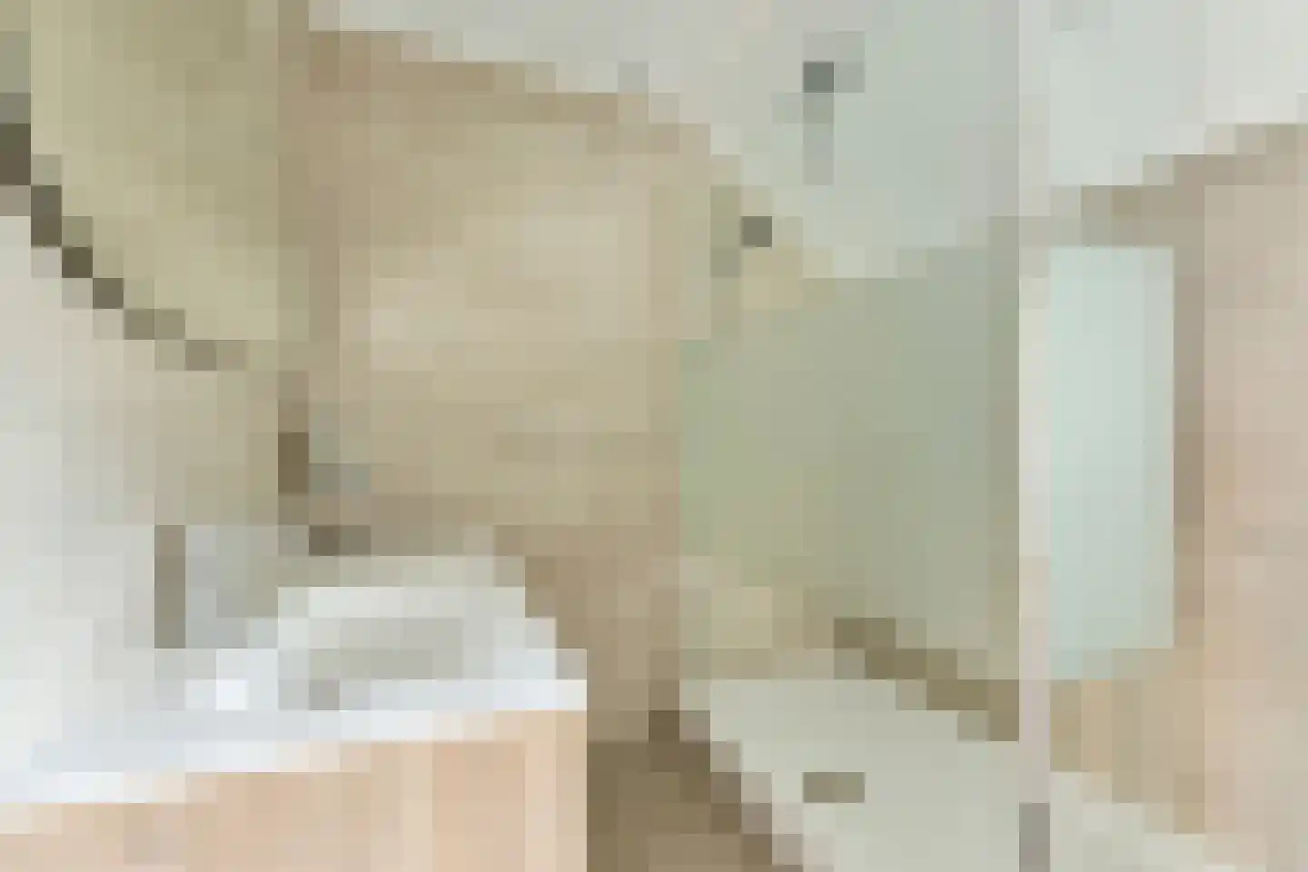 Meursweg 23 Didam thumbnail 15