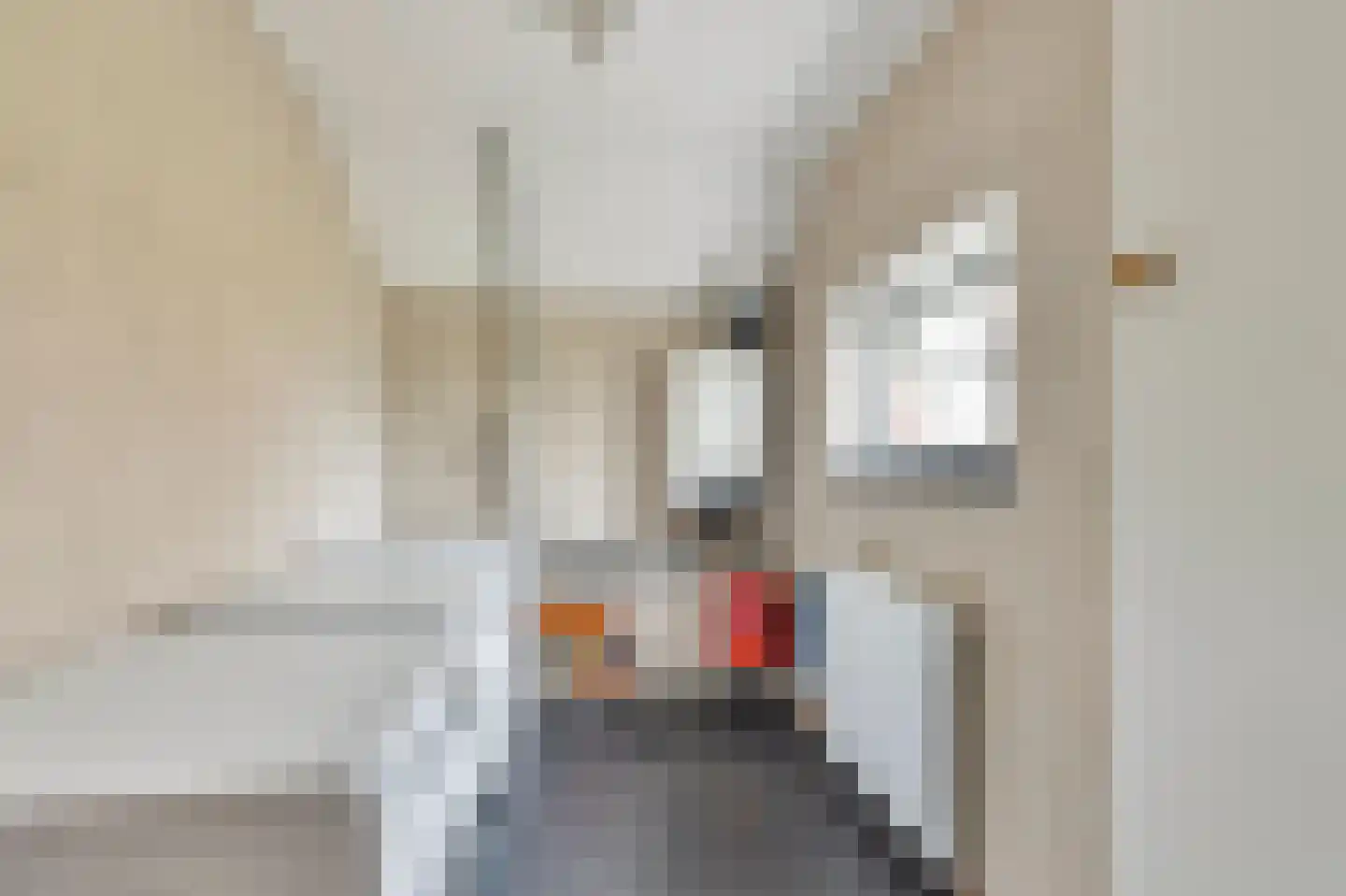 Meursweg 23 Didam thumbnail 18
